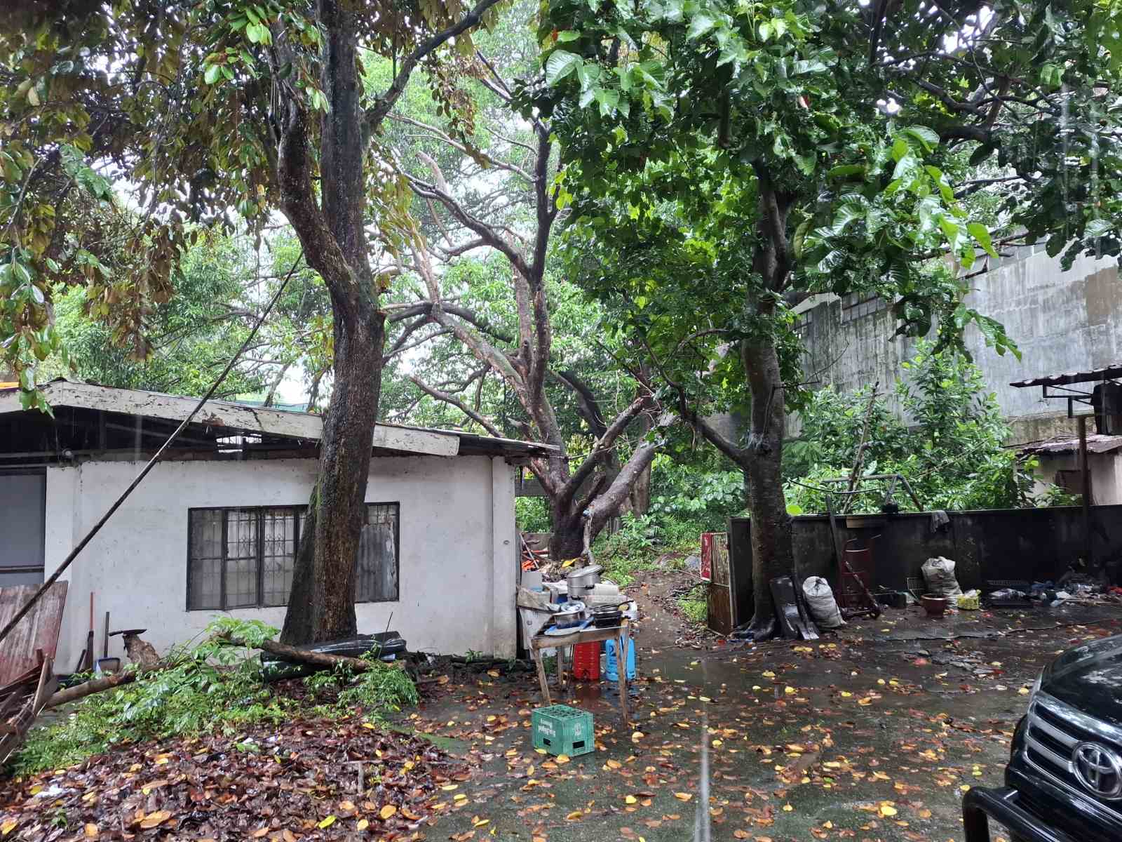 House and Lot for Sale in Marikina Heights, Marikina City