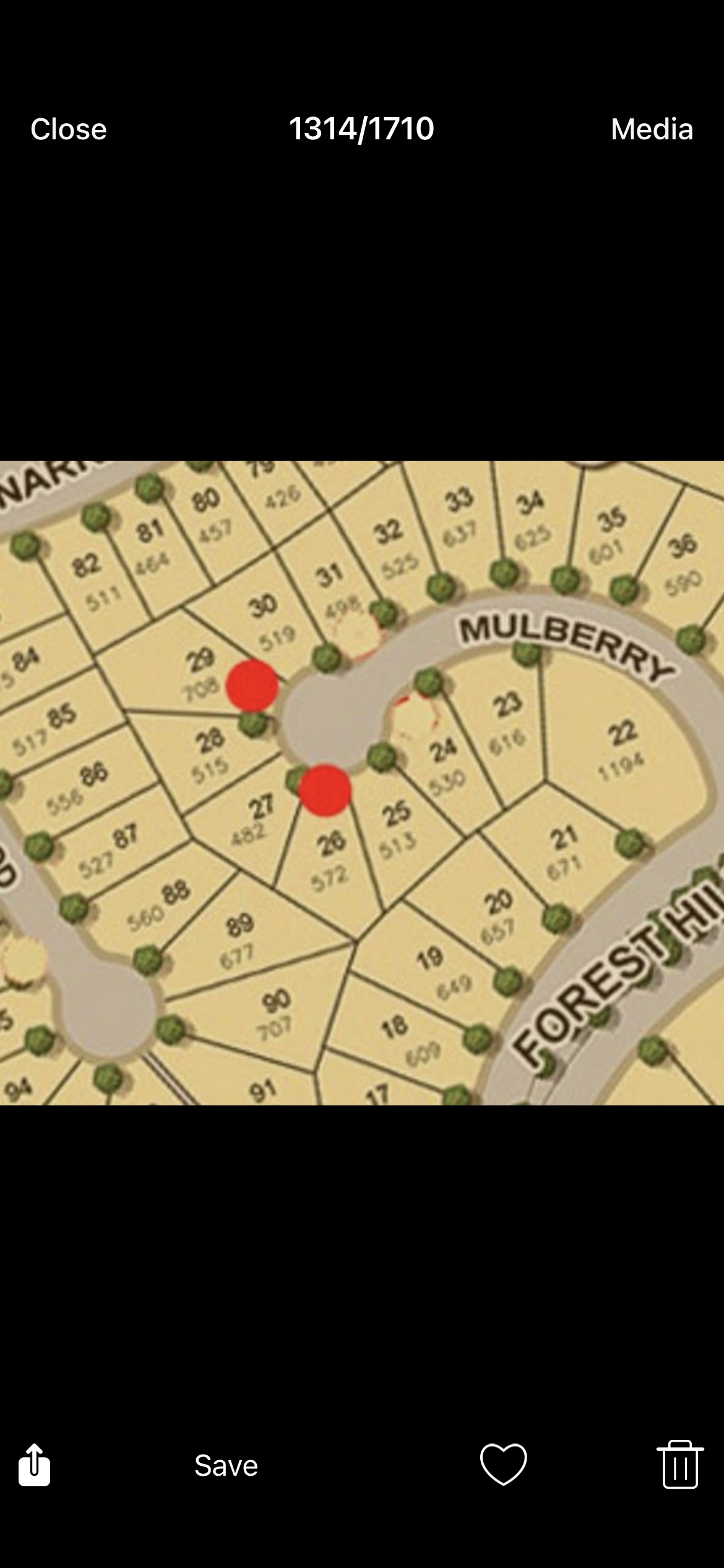 Two Lots for Sale in Forest Hills, Antipolo