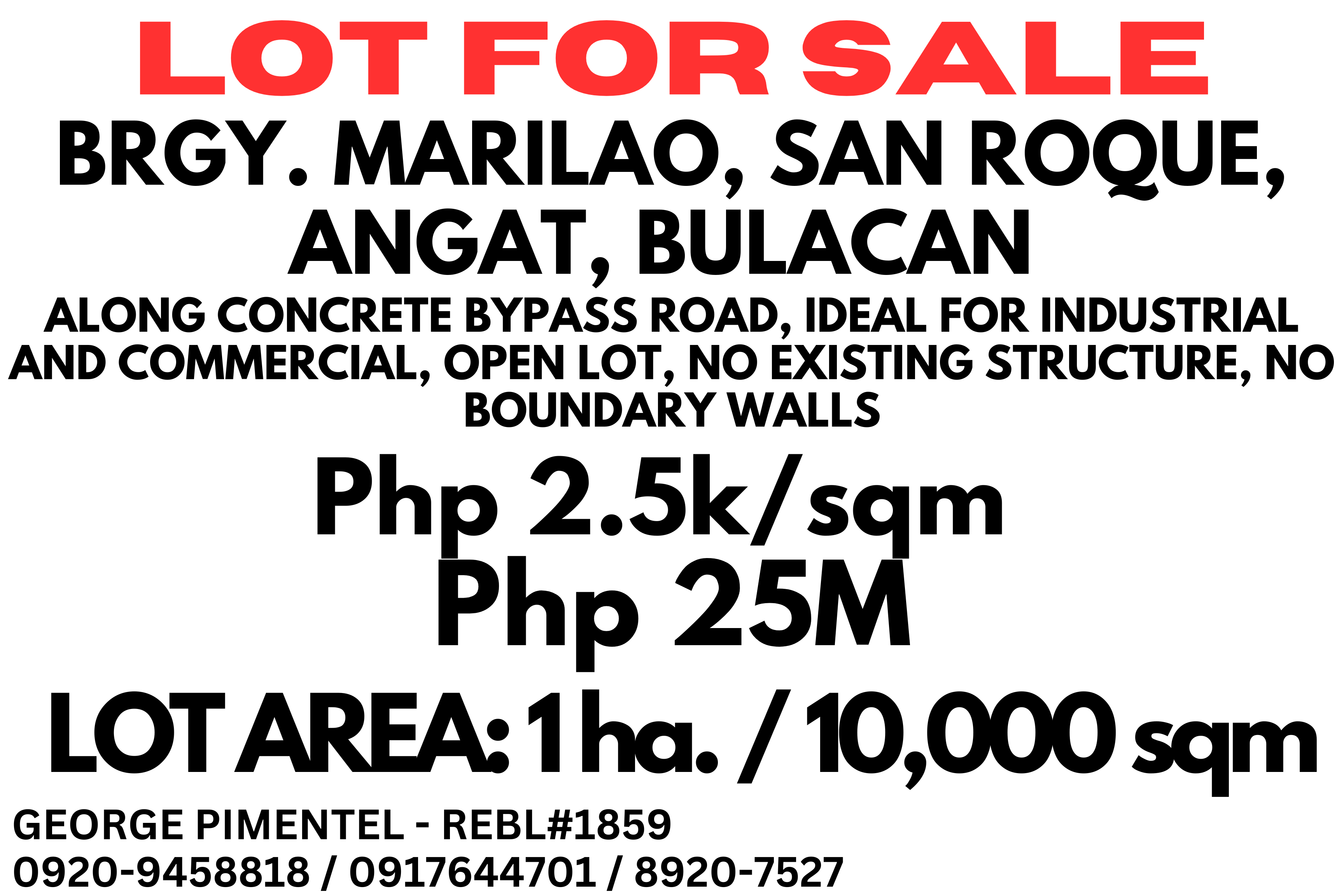 One-Hectare Lot for Sale in San Roque, Angat, Bulacan