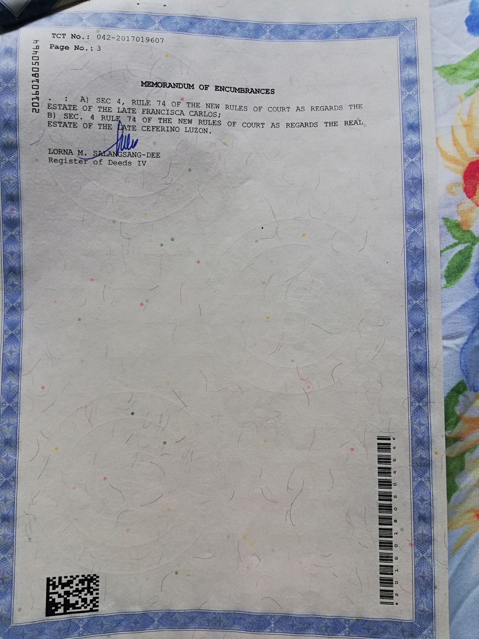 Large Lot for Sale in Brgy. San Isidro, San Luis, Pampanga